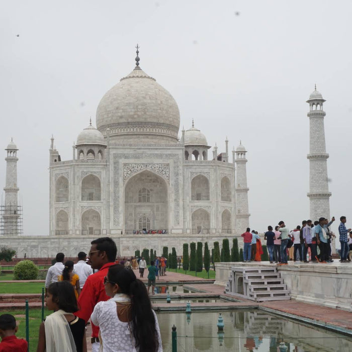 India Trip, Summer 2019 - Happy Earth Tea