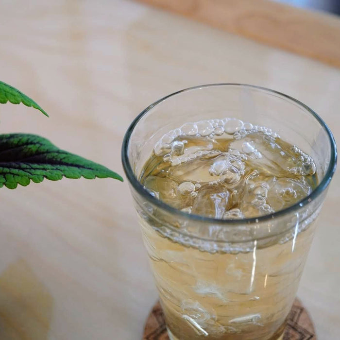 Cold Brewing Darjeeling Tea, Heaven in a Cup - Happy Earth Tea