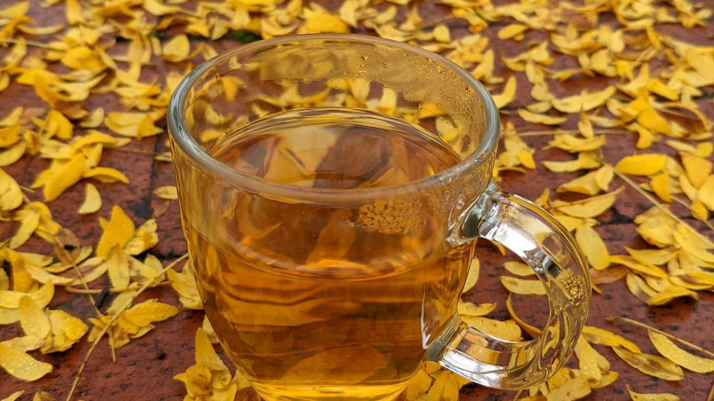 Boost Your Immunity with Holy Ginger Organic Herbal Tea! - Happy Earth Tea