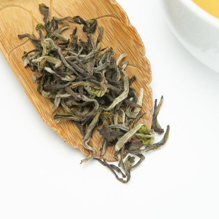 Your Guide to Brewing Delicious Loose Leaf Tea - Happy Earth Tea