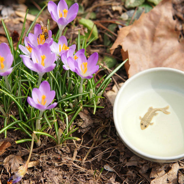 Spring Teas 2021 Are Rolling In! - Happy Earth Tea