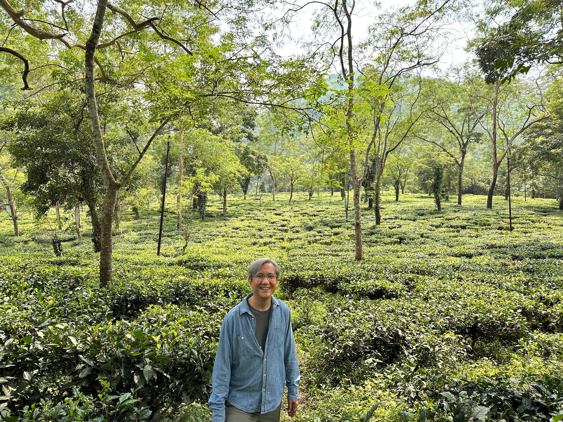 Nurbong: A Tea Garden Close to Home - Happy Earth Tea