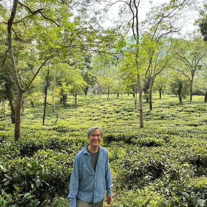 Nurbong: A Tea Garden Close to Home