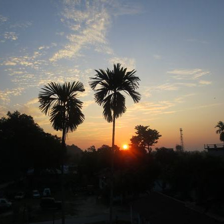 Travel Diaries India 2014 -III (Home) - Happy Earth Tea