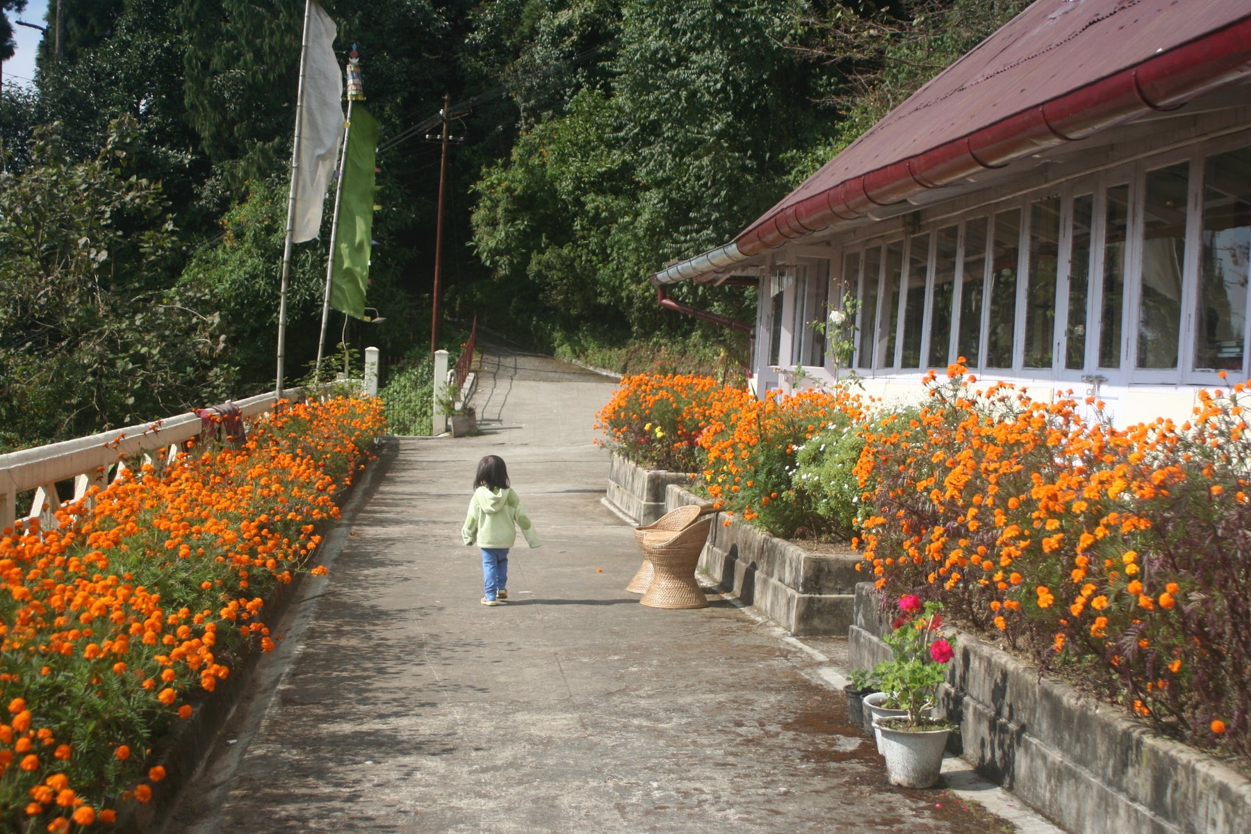 Daughter of Darjeeling she was...is - Happy Earth Tea
