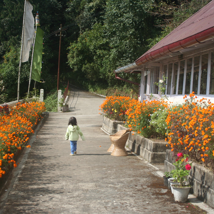 Daughter Tara in Darjeeling India