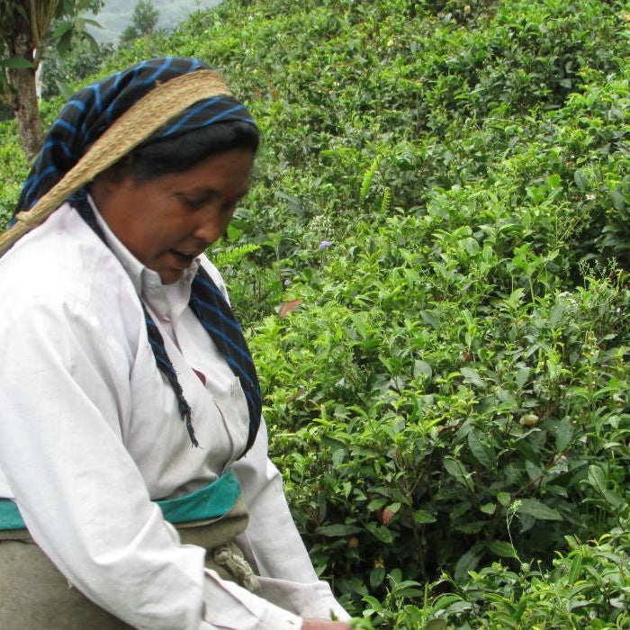 At Margaret's Hope - Happy Earth Tea