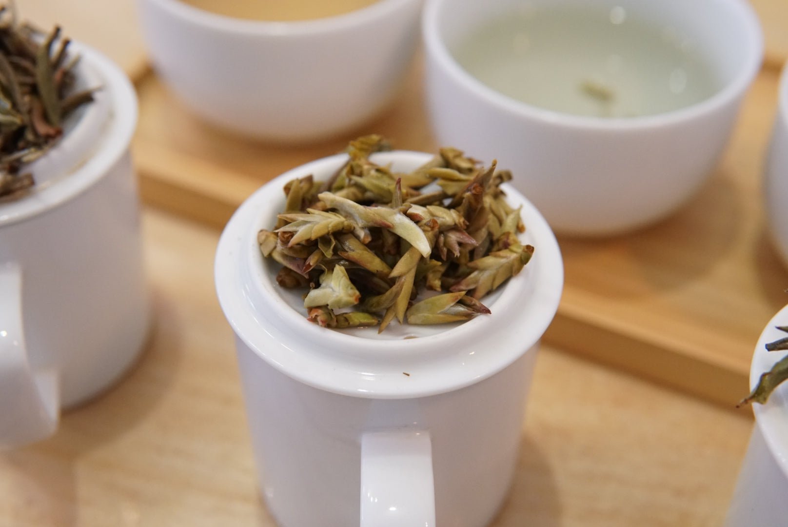 Types of White Tea - Happy Earth Tea