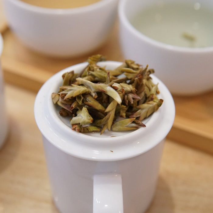 Types of White Tea - Happy Earth Tea