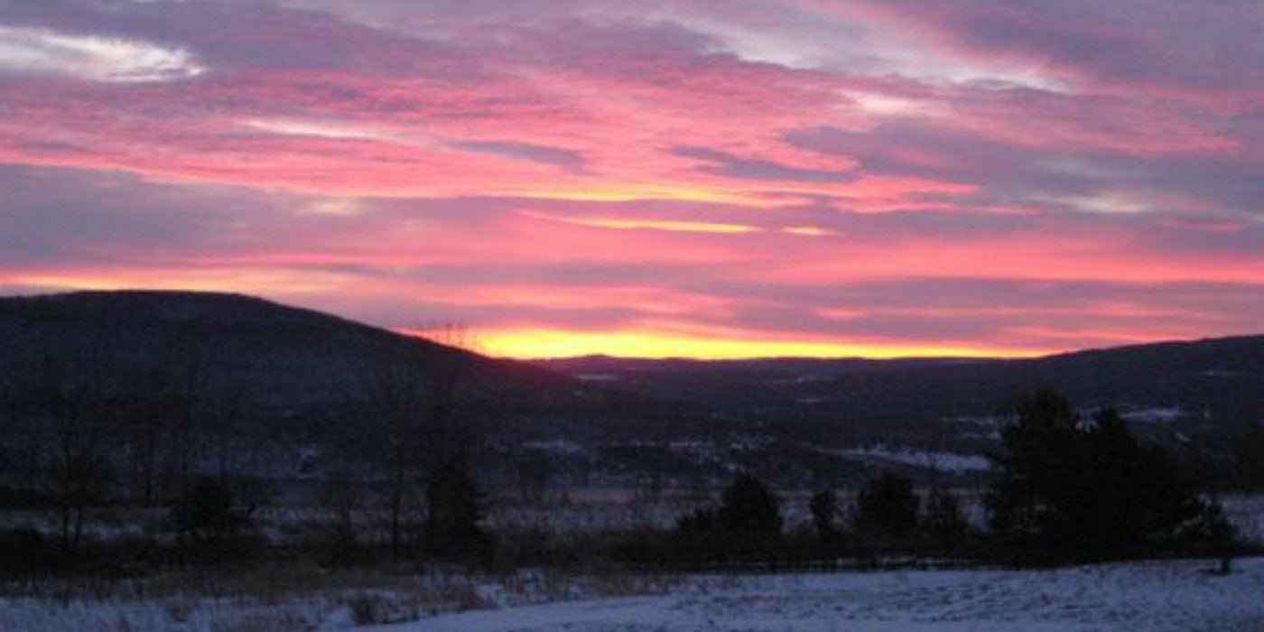 Presenting Tea at Shimmering Light - Happy Earth Tea