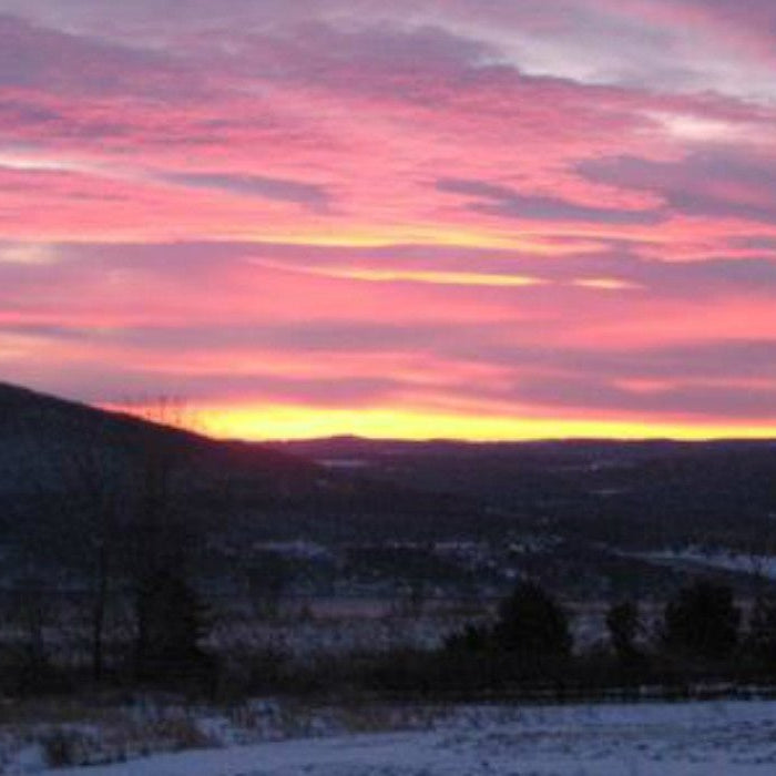 Presenting Tea at Shimmering Light - Happy Earth Tea