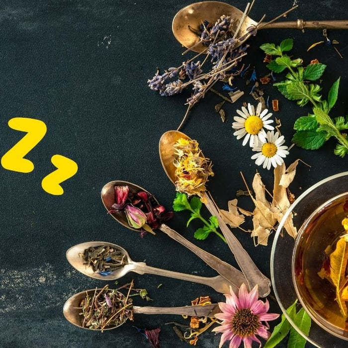 The Best Herbal Teas for a Peaceful Night's Sleep - Happy Earth Tea