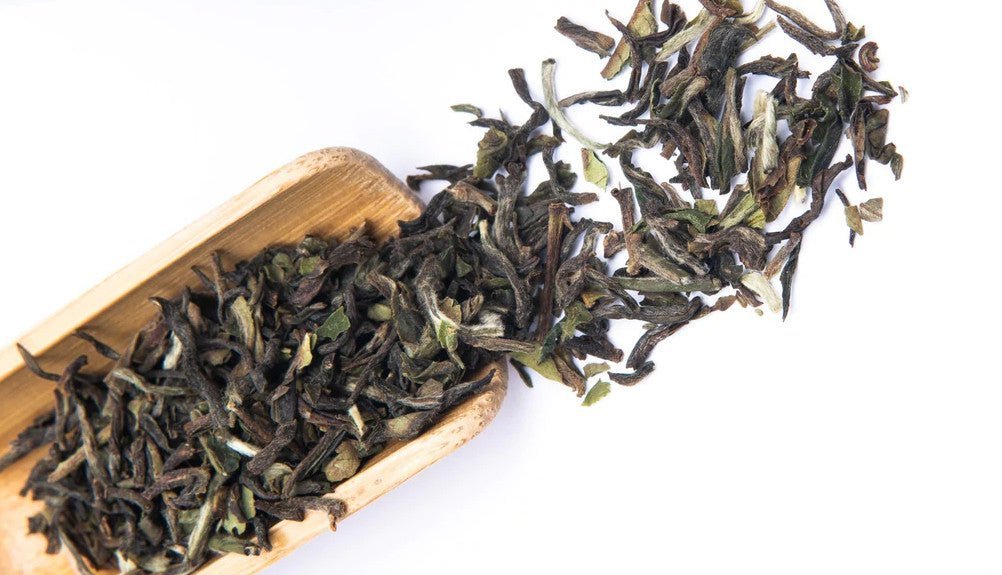 What's the fuss over spring teas? - Happy Earth Tea