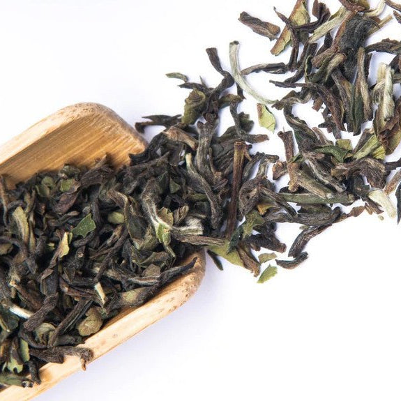 What's the fuss over spring teas? - Happy Earth Tea
