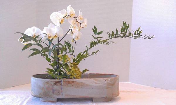 [Event] Tea, Ikebana and Pottery - Happy Earth Tea