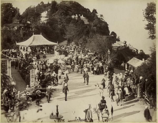 A man from Malta, Darjeeling tea and birds - Part 2 - Happy Earth Tea