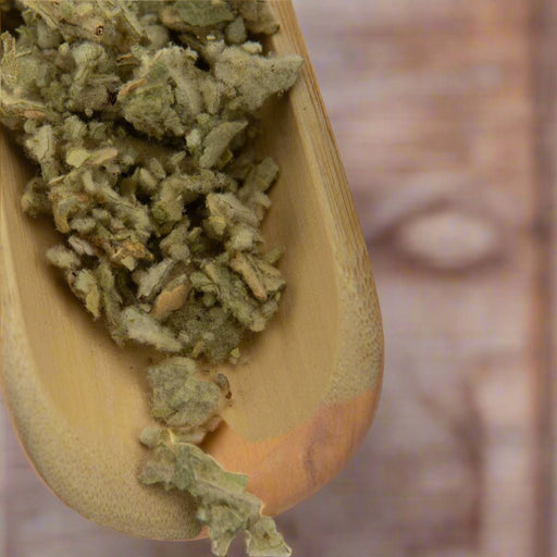 Mugwort Tea, Organic