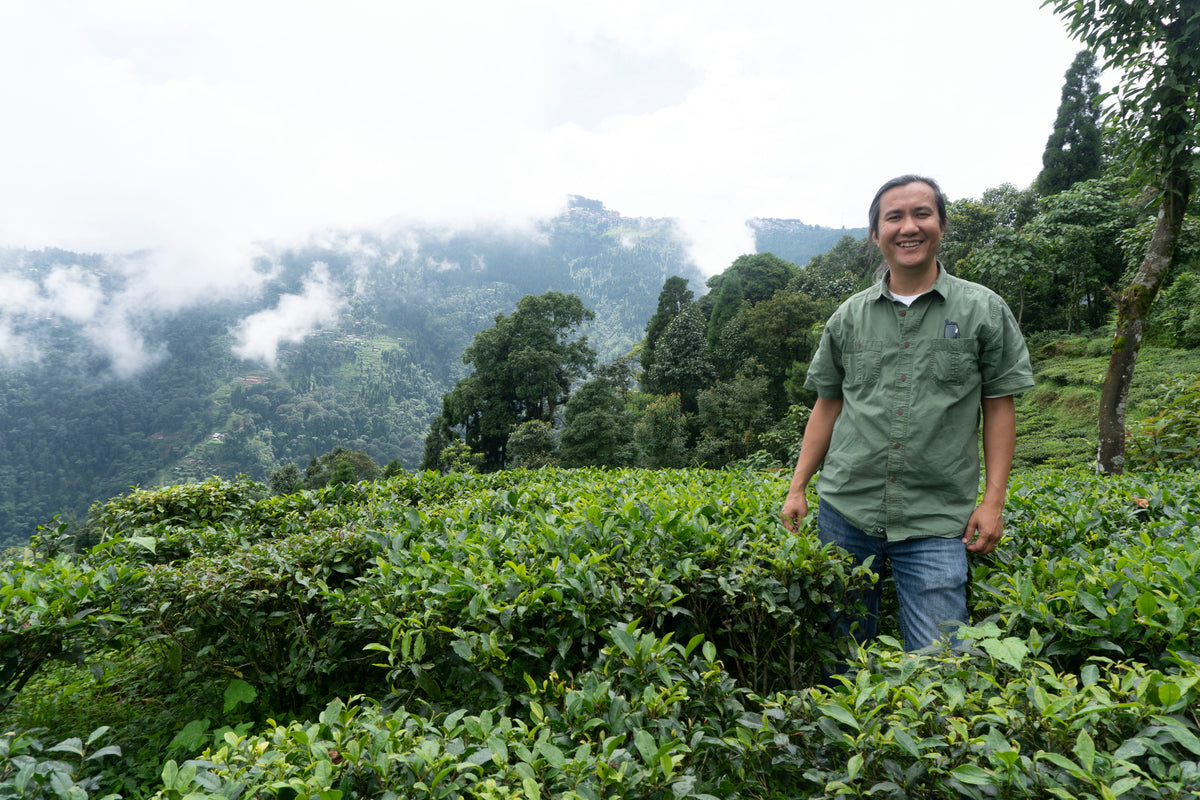 Niraj Lama in Darjeeling tea country