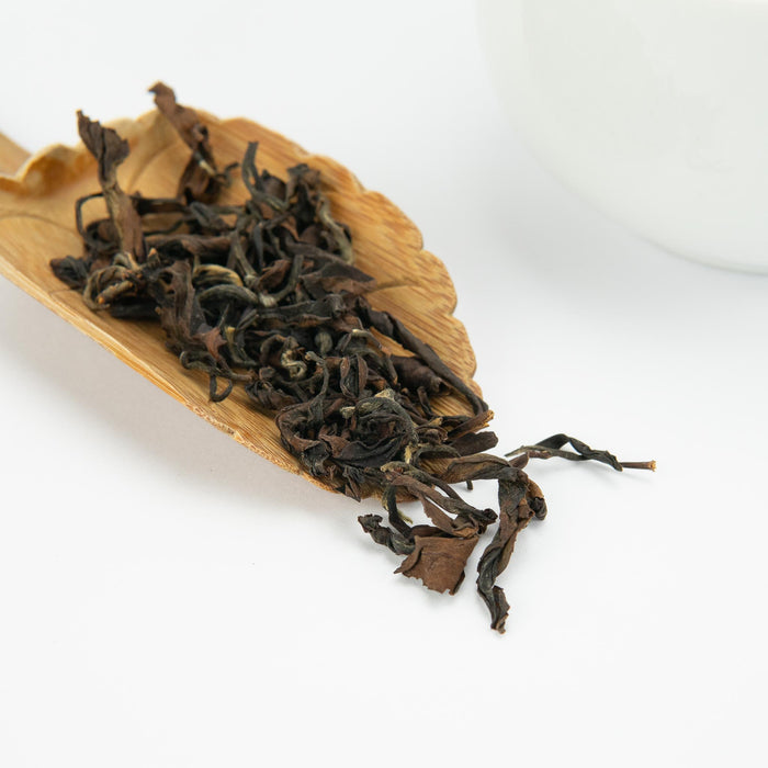 Yunnan Beauty | Special Bug-Bitten Oolong