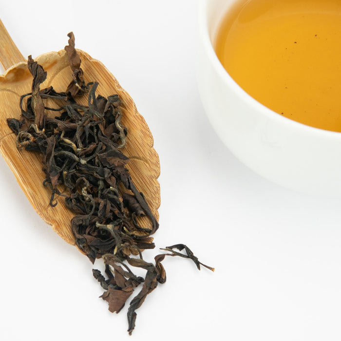 Yunnan Beauty | Special Bug-Bitten Oolong