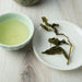 A small white ceramic bowl filled with pale green tea sits beside a white plate holding dried green tea leaves on a light wood surface.