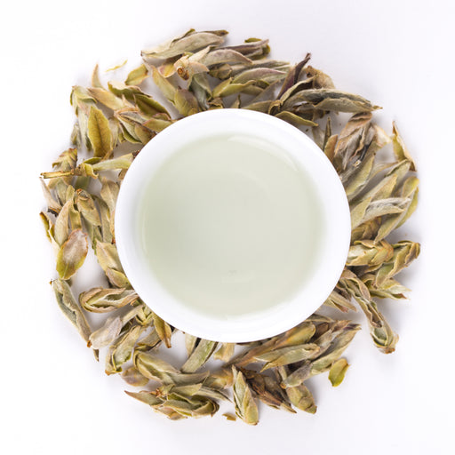 Nan Mei White Tea 
