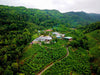 New Vithanakande Tea Estate Sri Lanka