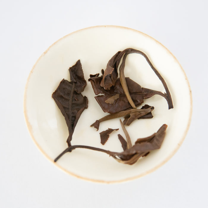Wuliangshan Moonlight Organic White Tea Cake wet leaf close up