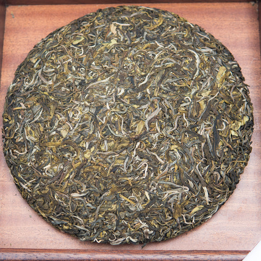 Wuliangshan Sheng (raw) organic pu-erh tea cake unwrapped