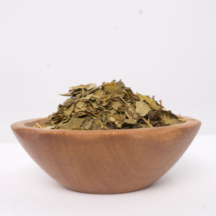 Moringa Leaf - Organic Herbal Tea